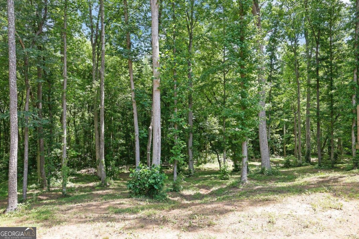 9645 Old Riverside Lane Ball Ground - Photo 47