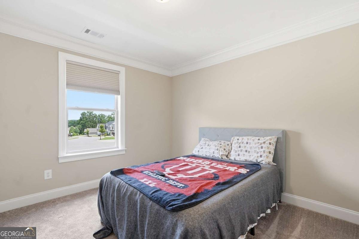 449 Tom Avery Drive Ball Ground - Photo 20