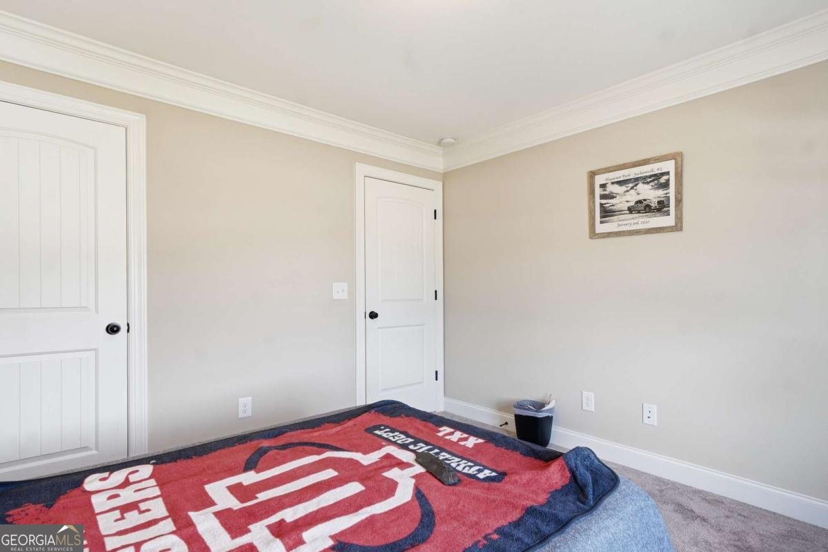 449 Tom Avery Drive Ball Ground - Photo 21