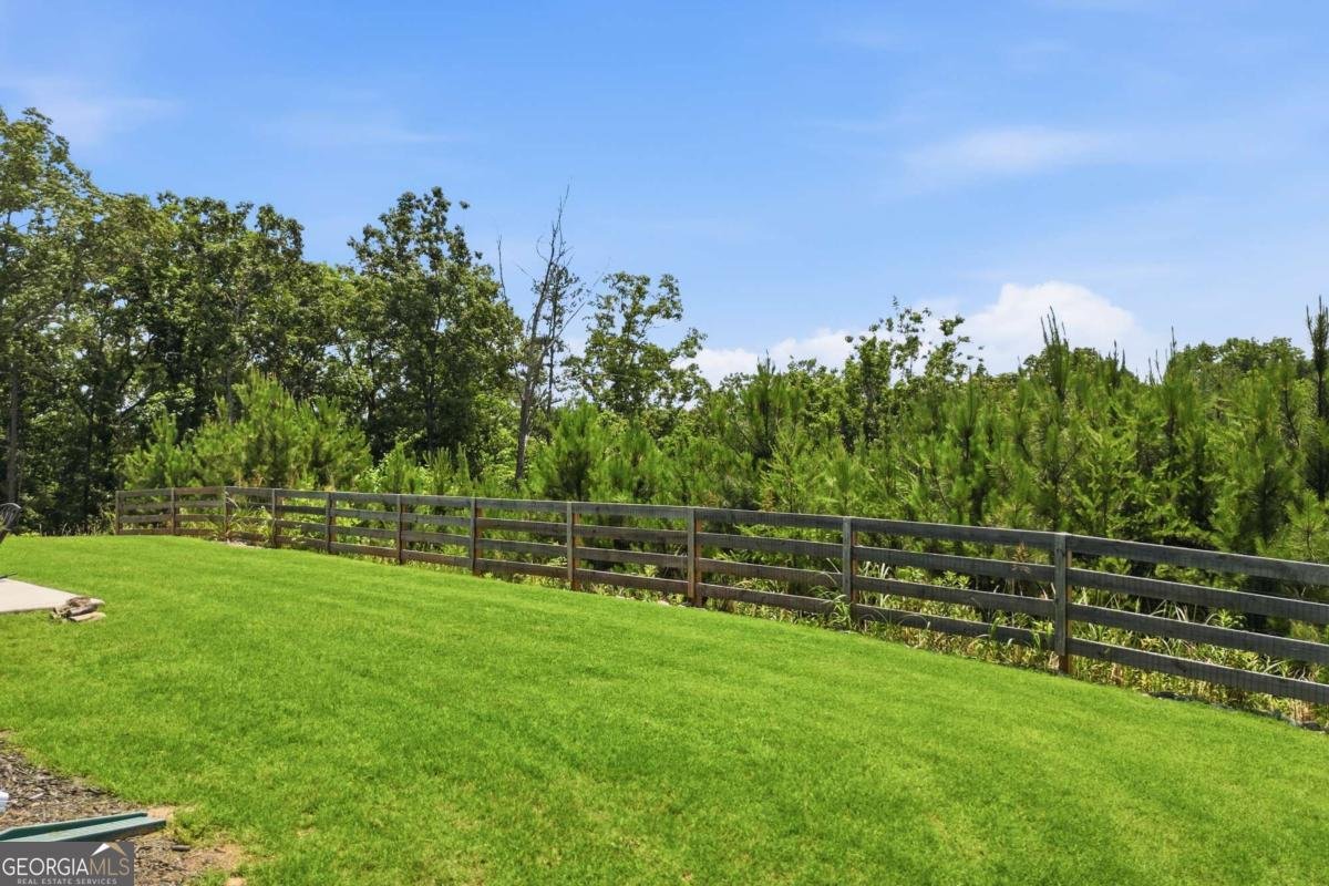 449 Tom Avery Drive Ball Ground - Photo 33