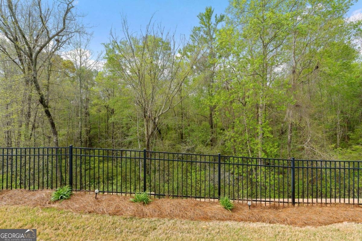 113 Marigold Court Griffin - Photo 57