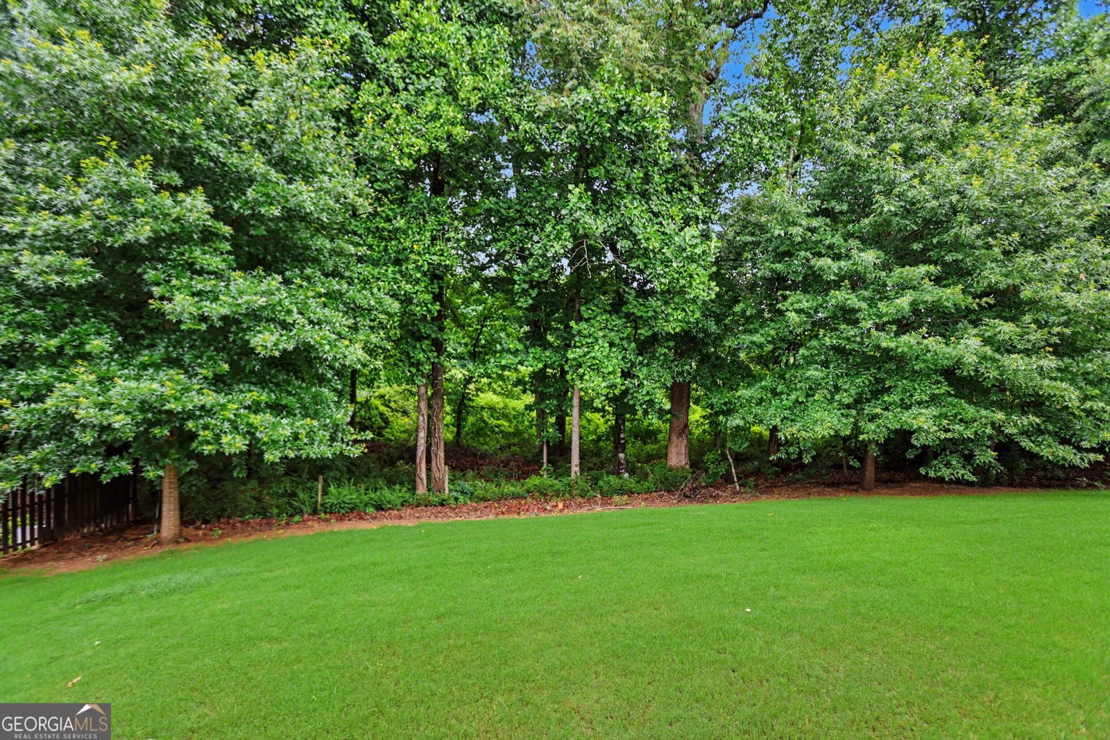2703 Bloom Circle Dacula - Photo 35