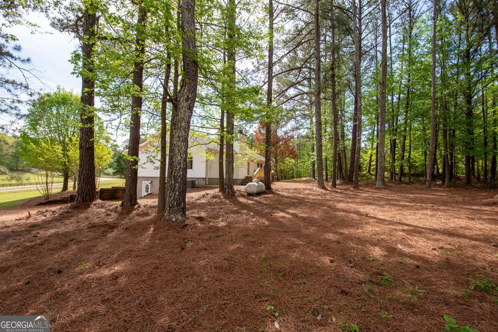598 Beavers Rd Grantville - Photo 43