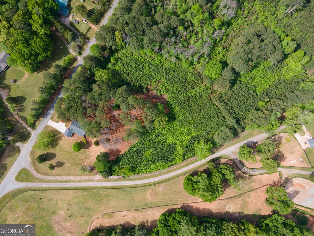 598 Beavers Rd Grantville - Photo 50