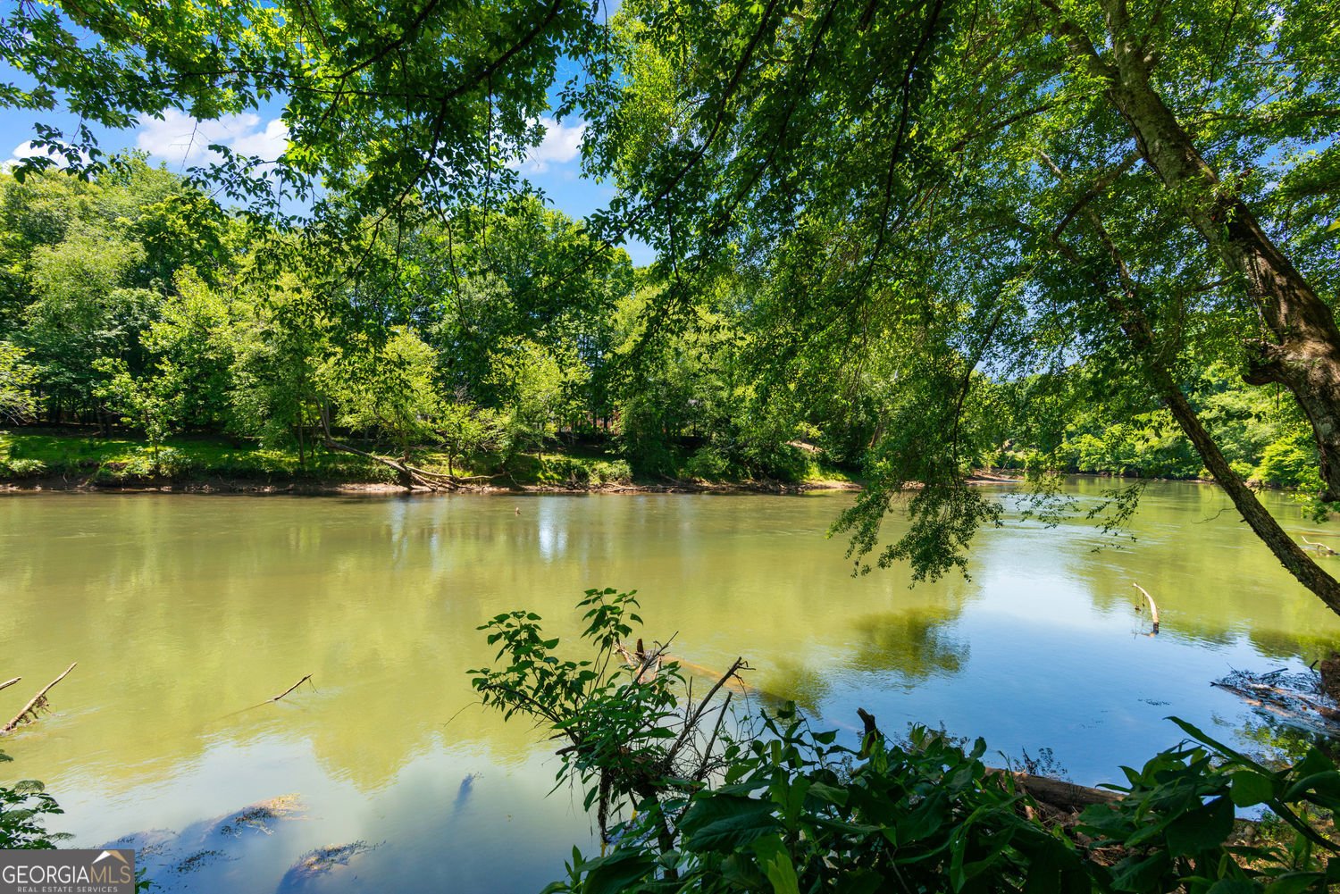 3120 Addison Drive ALPHARETTA - Photo 86