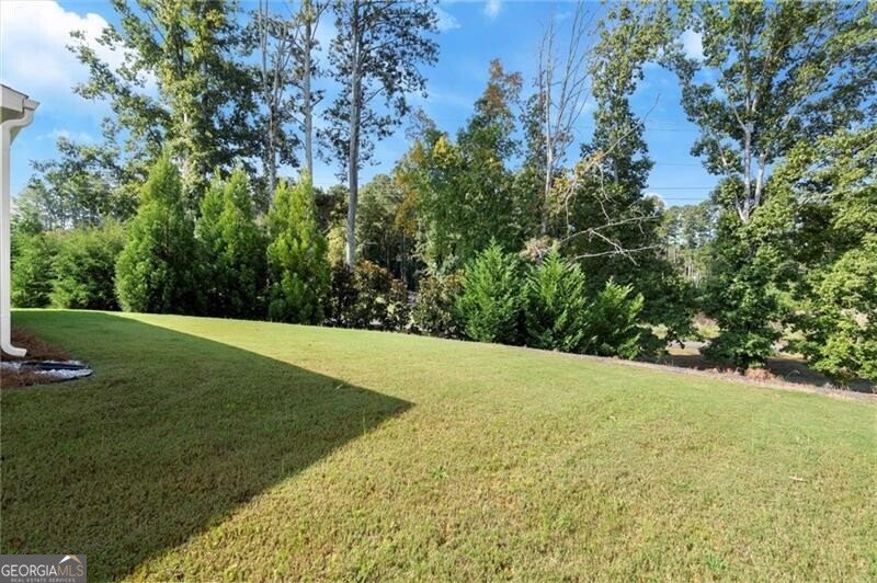 2840 Waverly Walk Point Cumming - Photo 48