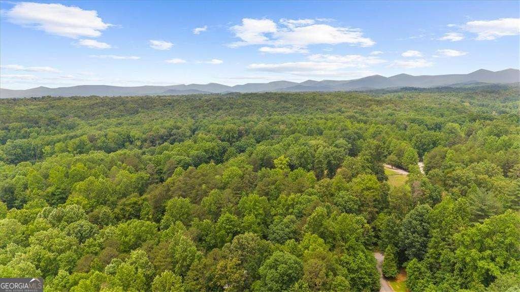 191 John Walker Road Dahlonega - Photo 39