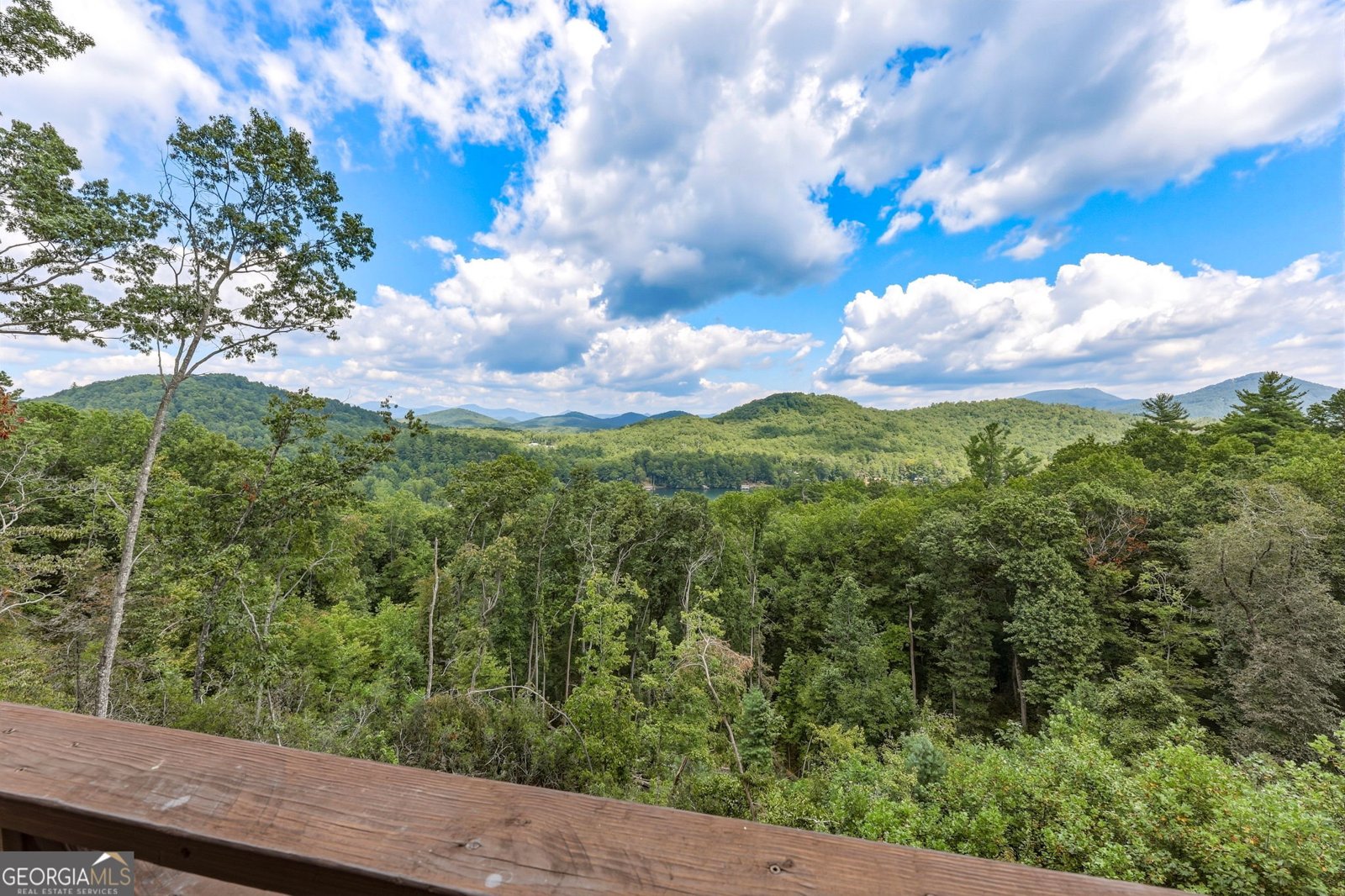 108 Ivy Ridge Clarkesville - Photo 87