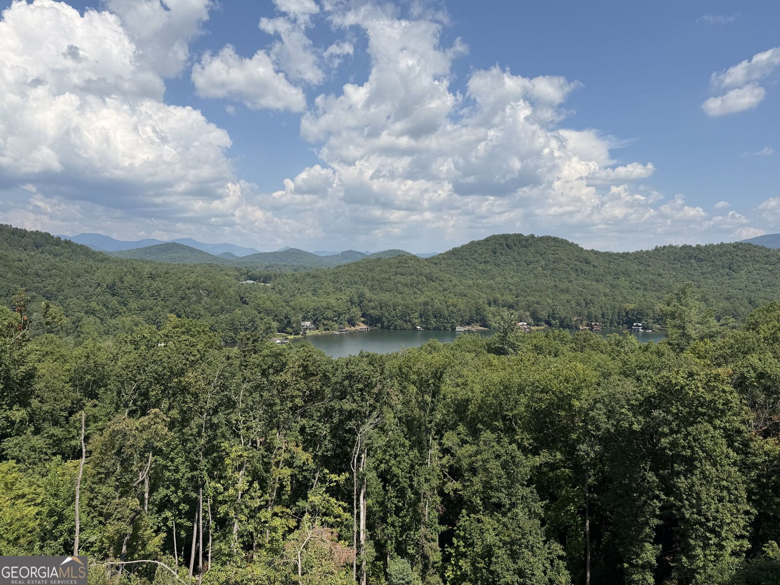 108 Ivy Ridge Clarkesville - Photo 89