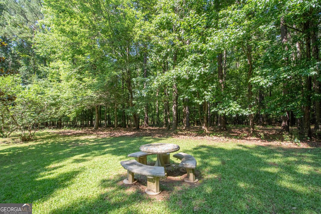 115 Hazelridge Lane Sharpsburg - Photo 54