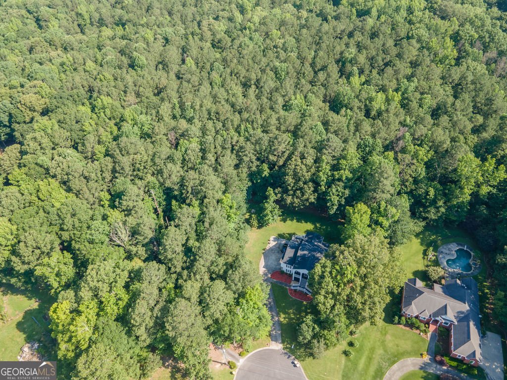115 Hazelridge Lane Sharpsburg - Photo 57