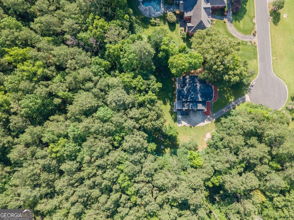 115 Hazelridge Lane Sharpsburg - Photo 84