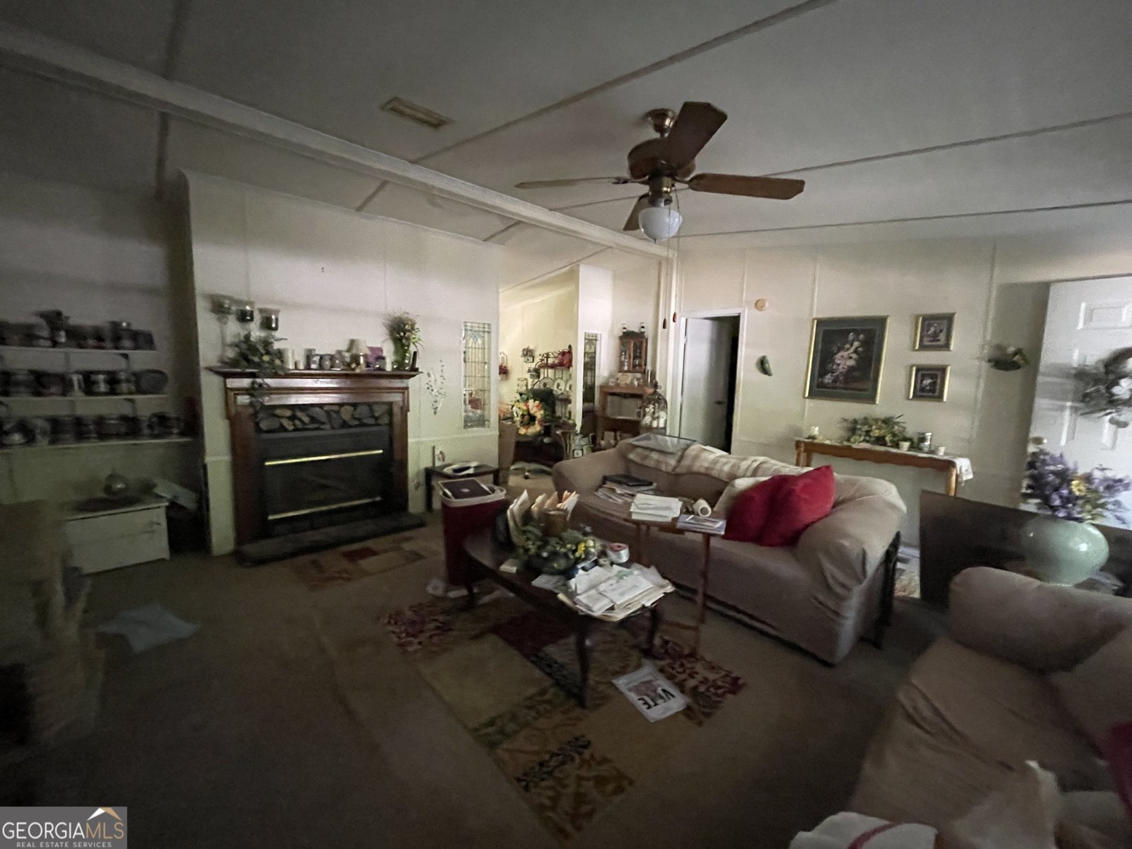 19 Peachtree Lake Drive Sharpsburg - Photo 11