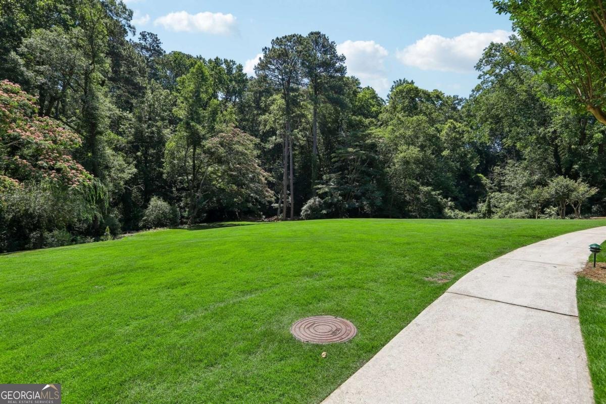 26308 Plantation Drive Atlanta - Photo 25