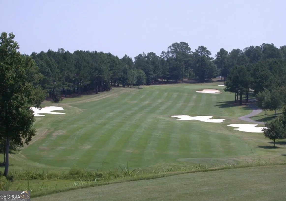 39 Medallion Park Newnan - Photo 60