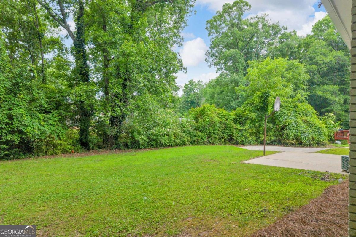 8093 Malone Street Douglasville - Photo 42