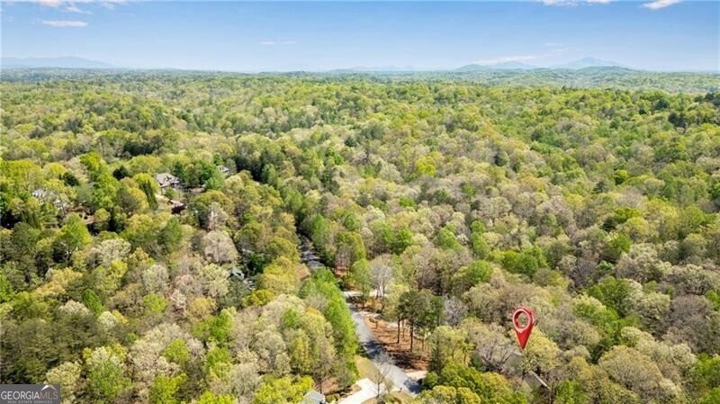 370 Mountain Trace Drive Dahlonega - Photo 39