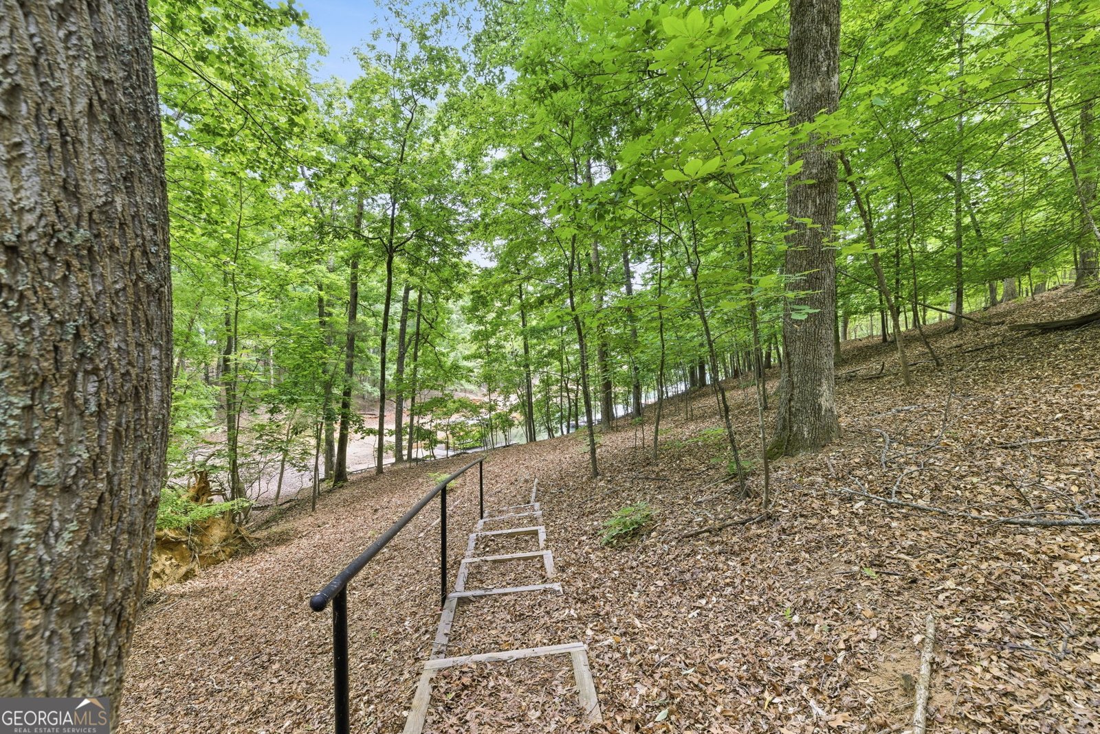 7755 Kings Point Drive Cumming - Photo 49