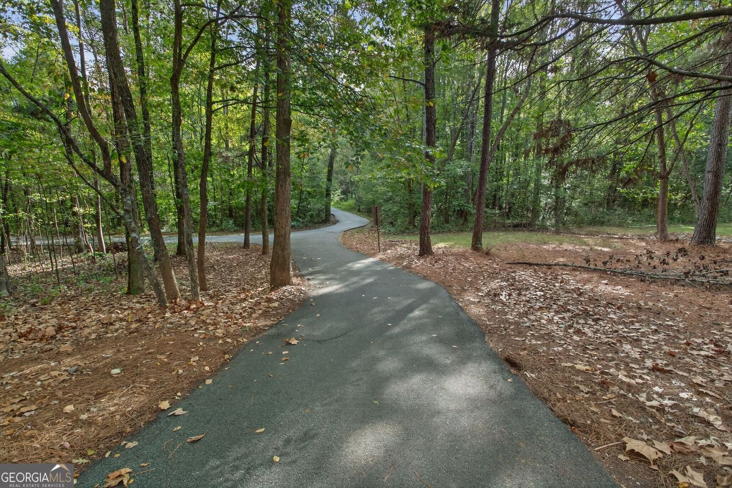 206 Las Brasis Court Peachtree City - Photo 56