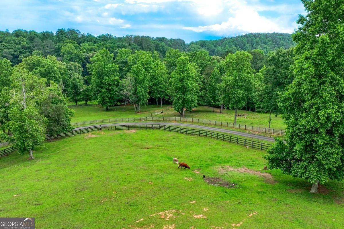 7945 Reinhardt College Parkway Waleska - Photo 7