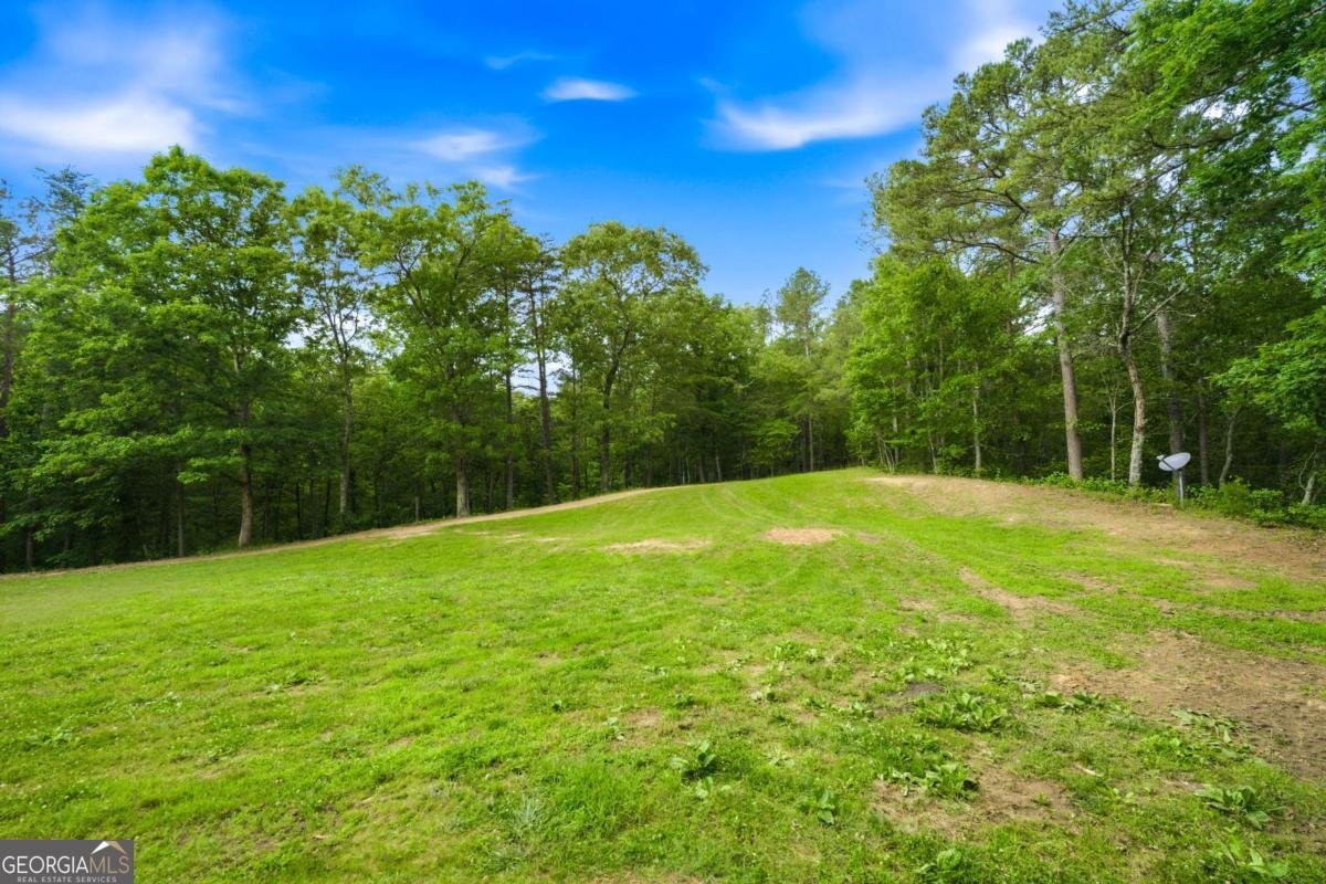 7945 Reinhardt College Parkway Waleska - Photo 75