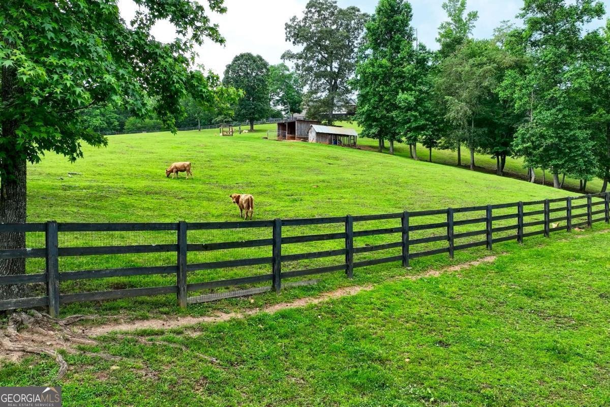 7945 Reinhardt College Parkway Waleska - Photo 81