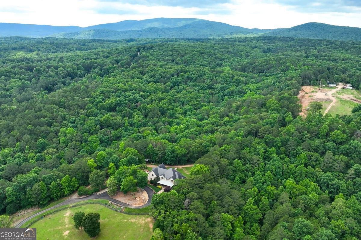 7945 Reinhardt College Parkway Waleska - Photo 91
