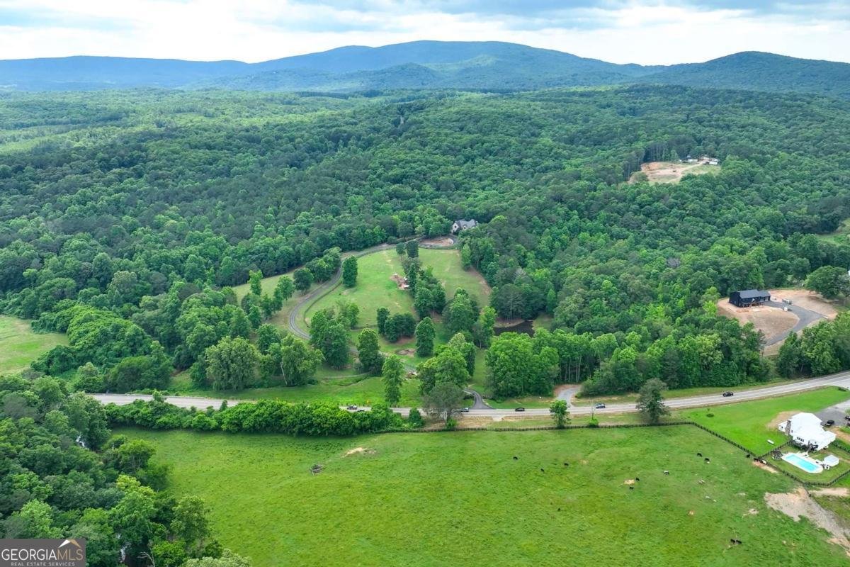 7945 Reinhardt College Parkway Waleska - Photo 93