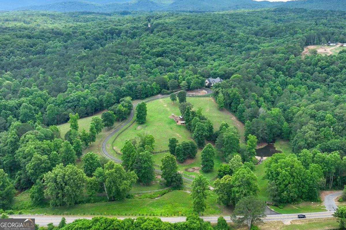 7945 Reinhardt College Parkway Waleska - Photo 94