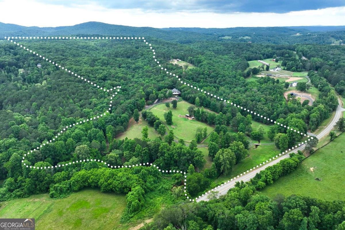 7945 Reinhardt College Parkway Waleska - Photo 95