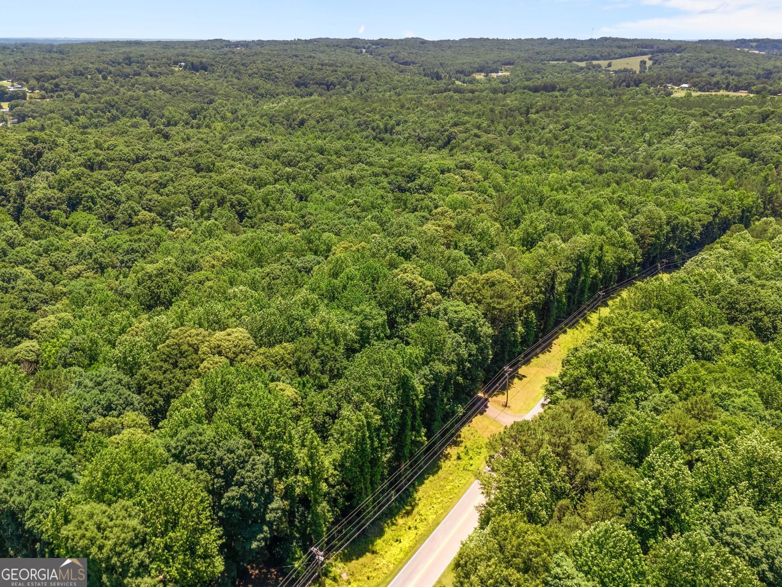 3807 Al Mangum Road Talmo - Photo 48