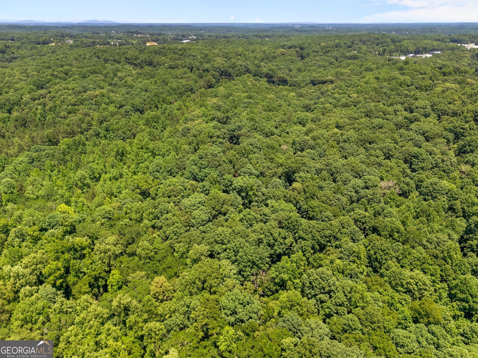 3807 Al Mangum Road Talmo - Photo 49