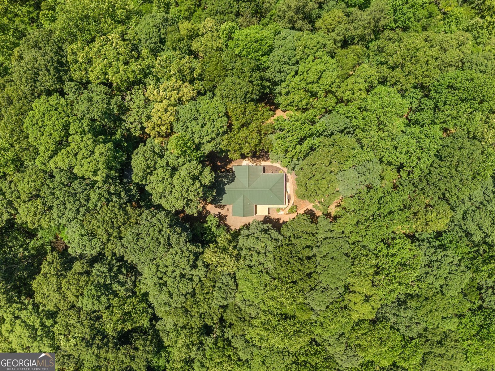 3807 Al Mangum Road Talmo - Photo 50