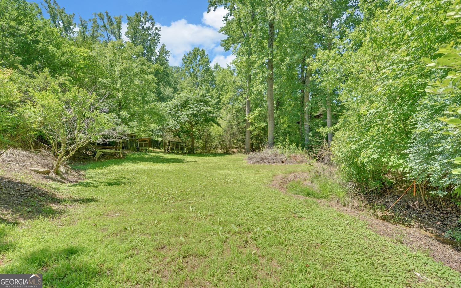 403 North Avenue Eastanollee - Photo 37