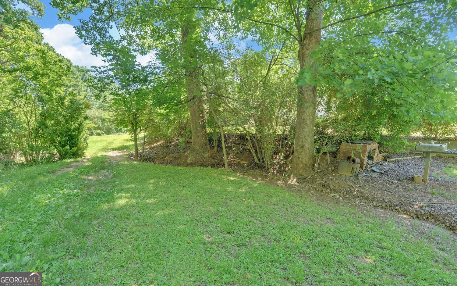 403 North Avenue Eastanollee - Photo 38