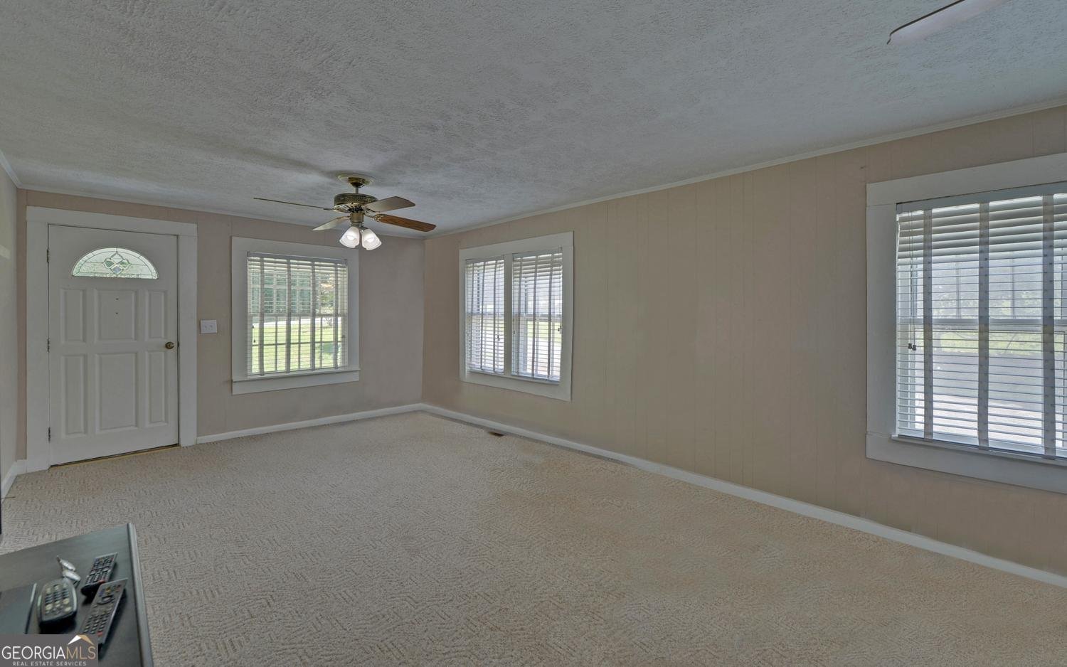 403 North Avenue Eastanollee - Photo 9