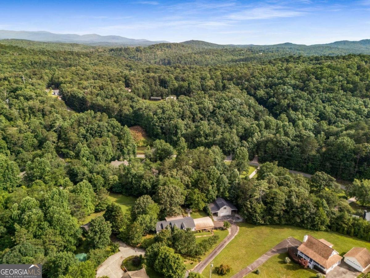 214 Piney Woods Drive Ellijay - Photo 65