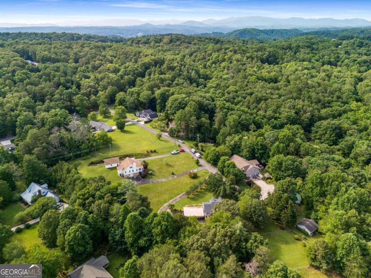 214 Piney Woods Drive Ellijay - Photo 67