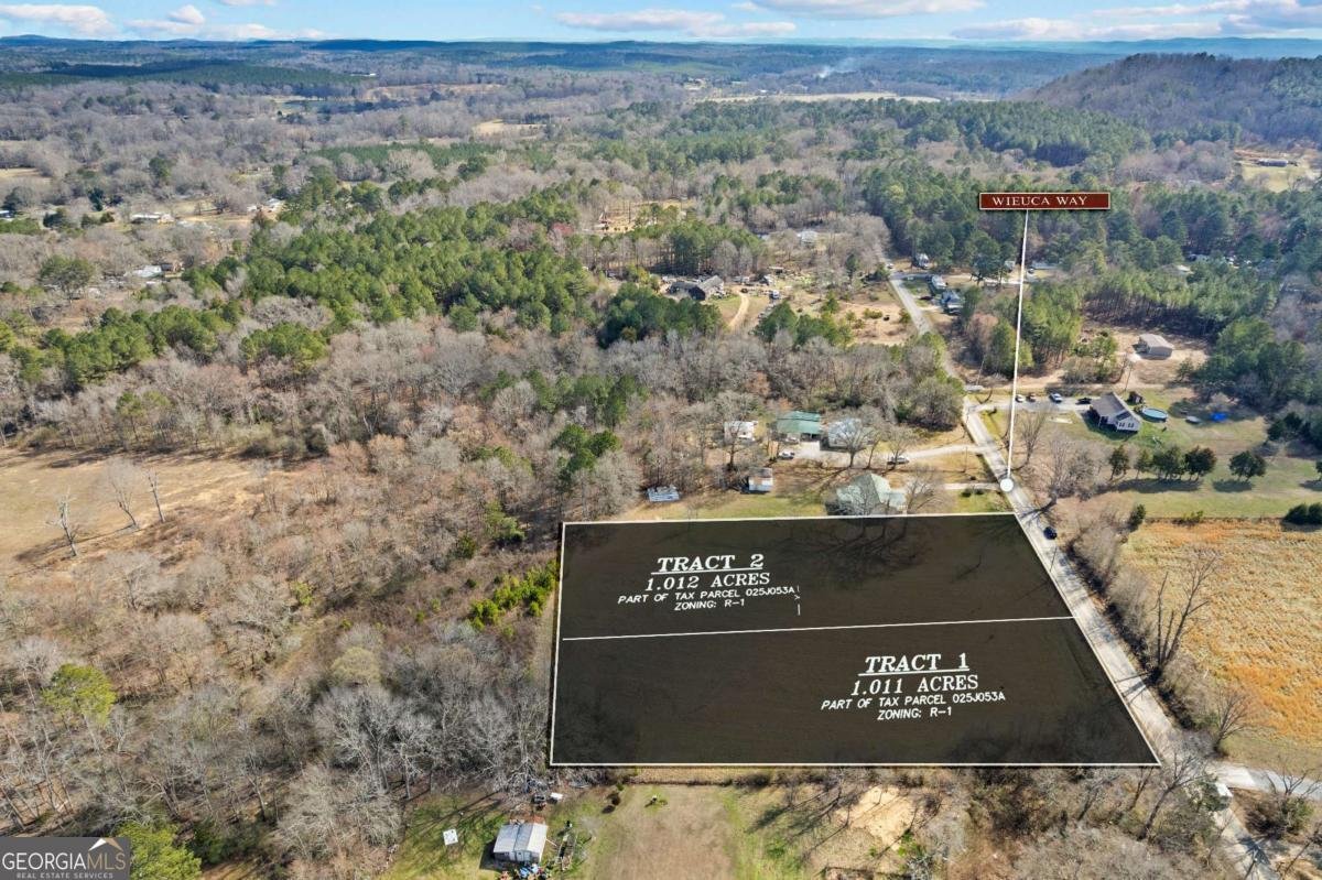 81 WIEUCA Way Cedartown - Photo 42