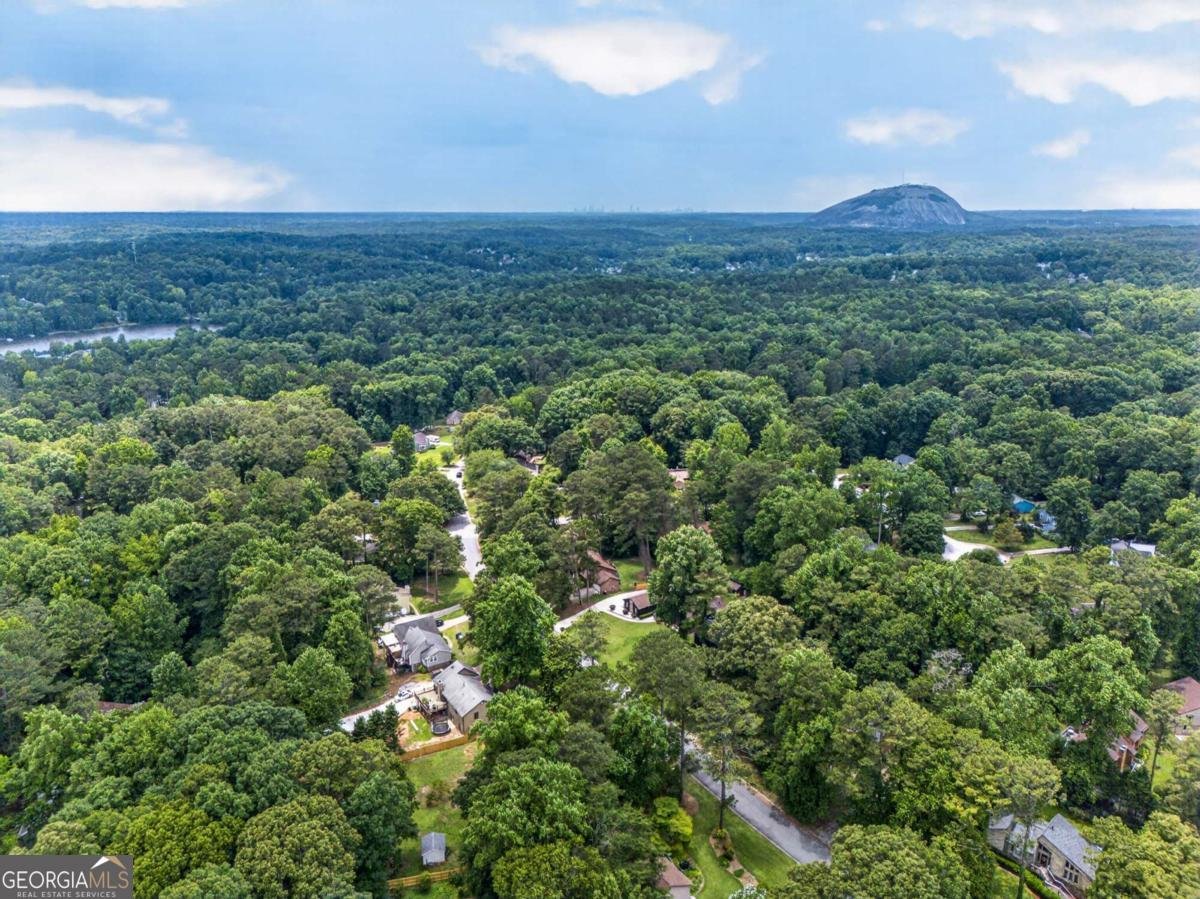 5169 Rockbridge Drive Stone Mountain - Photo 61