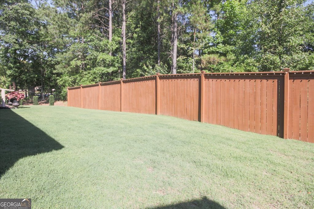 781 Wood Stork Drive Loganville - Photo 8