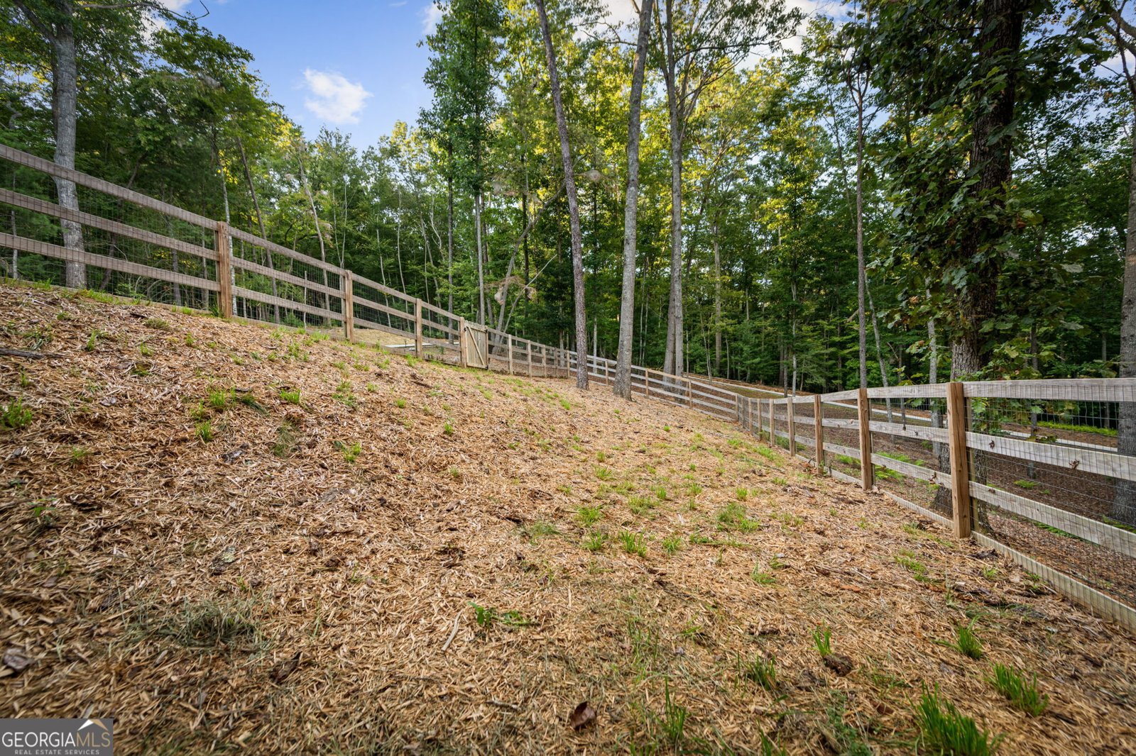 2632 Big Creek Road Cherry Log - Photo 107