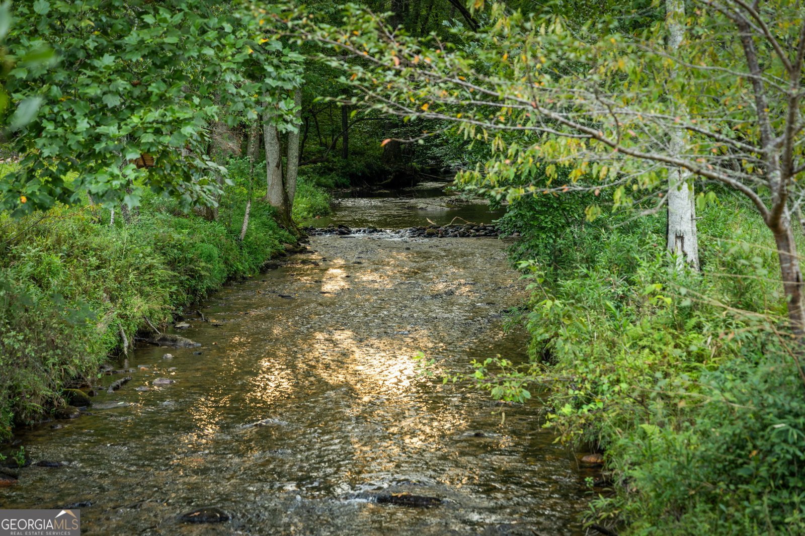 2632 Big Creek Road Cherry Log - Photo 116
