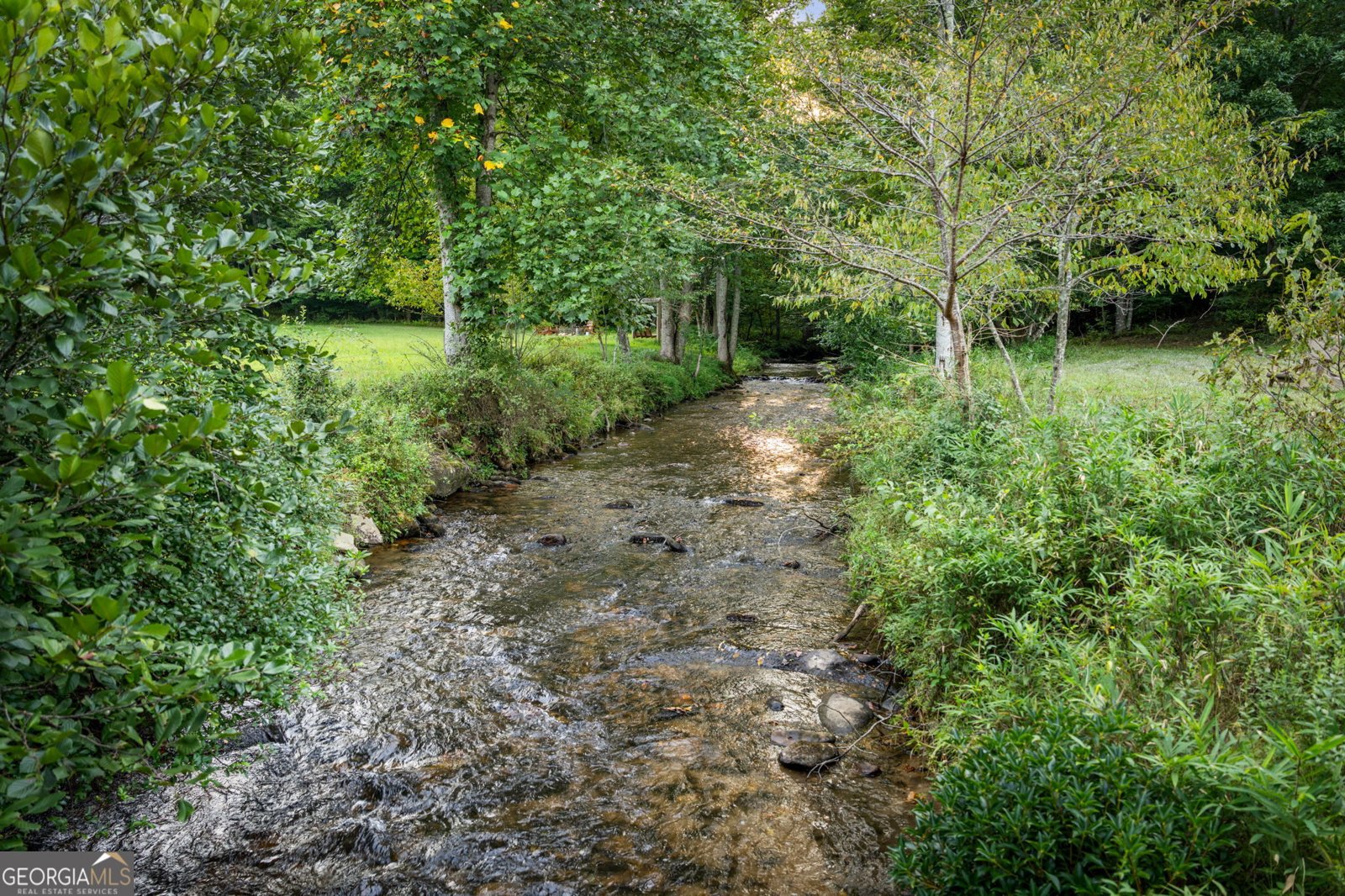 2632 Big Creek Road Cherry Log - Photo 118