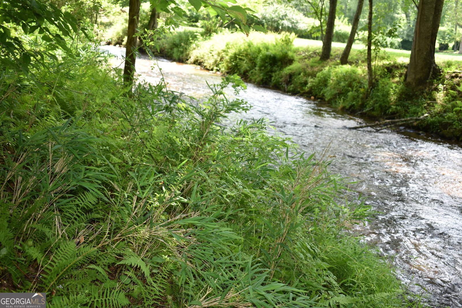 2632 Big Creek Road Cherry Log - Photo 84