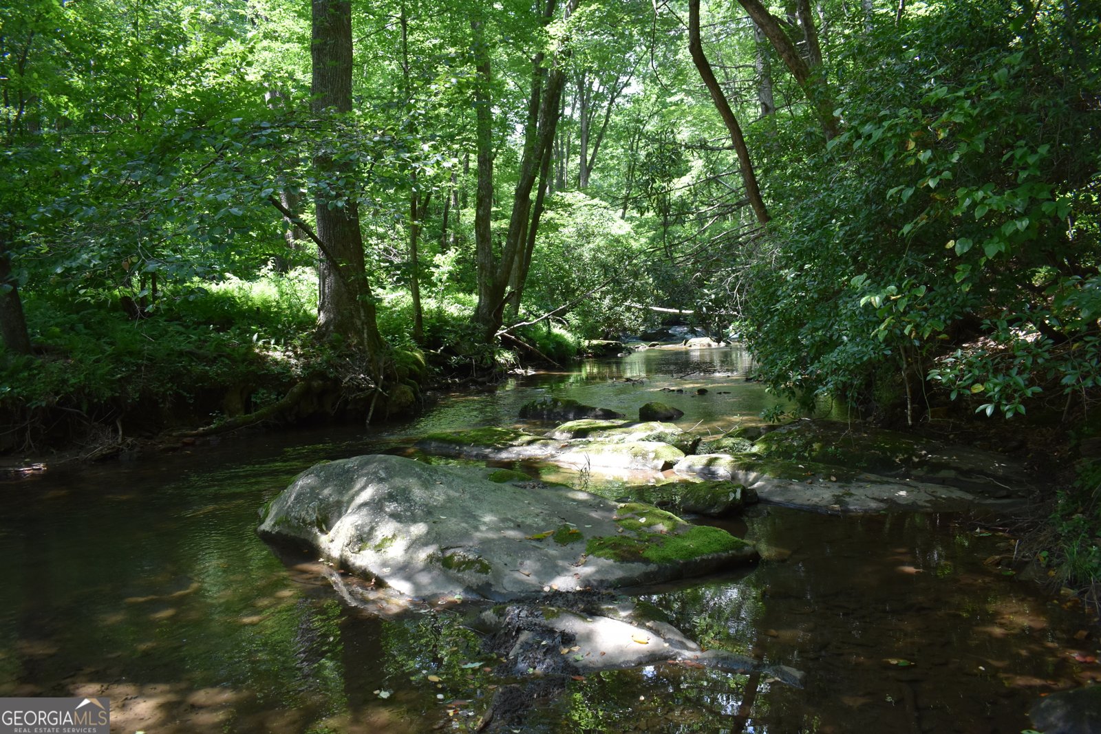 2632 Big Creek Road Cherry Log - Photo 86
