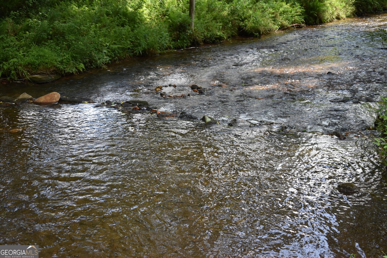 2632 Big Creek Road Cherry Log - Photo 87