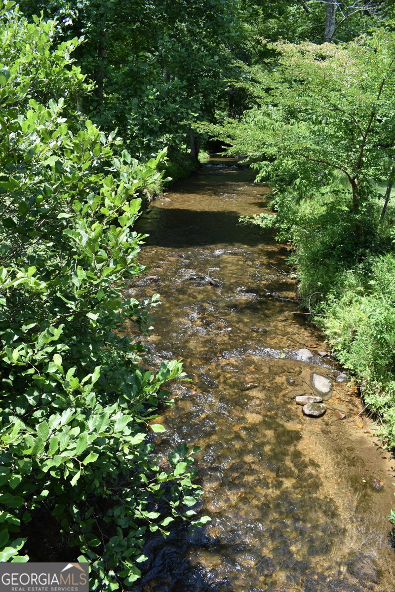 2632 Big Creek Road Cherry Log - Photo 88