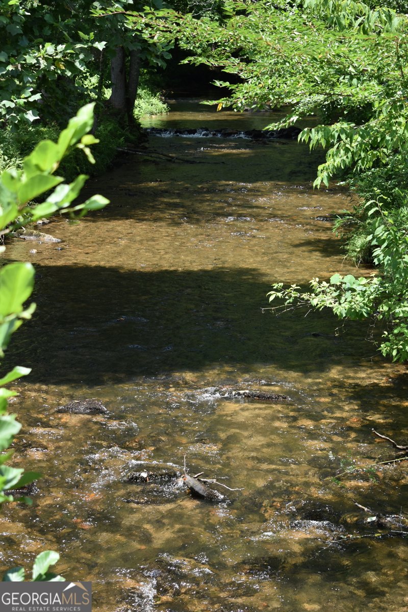 2632 Big Creek Road Cherry Log - Photo 89