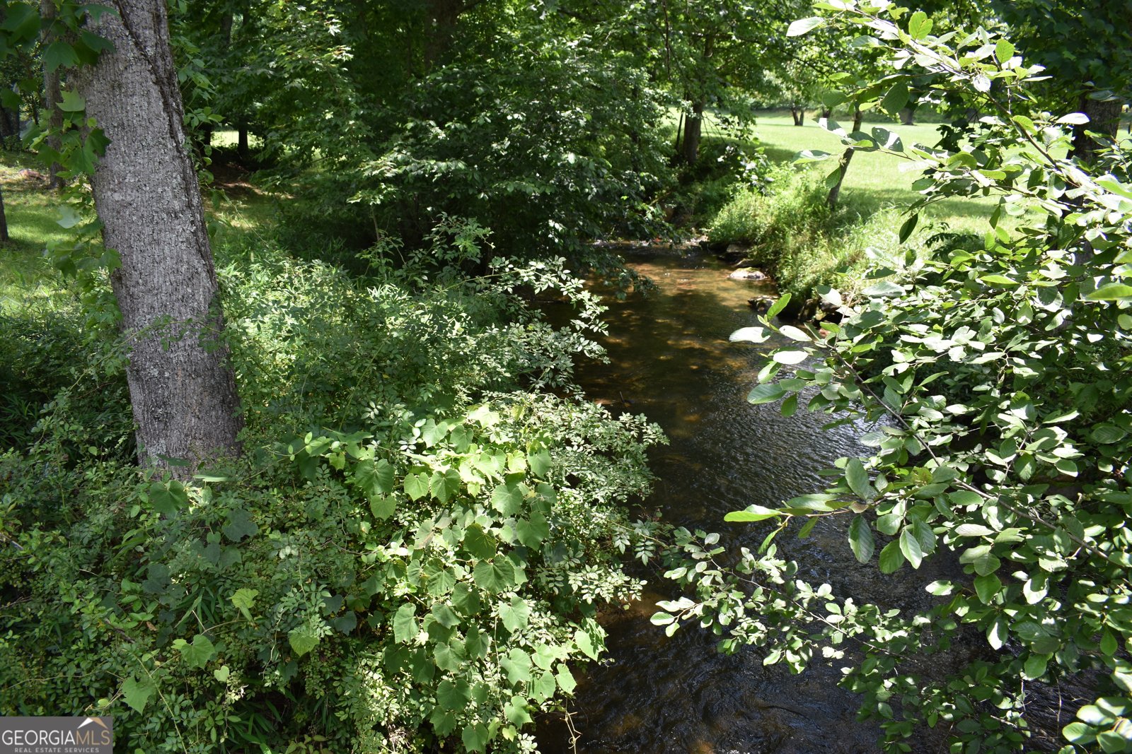 2632 Big Creek Road Cherry Log - Photo 90